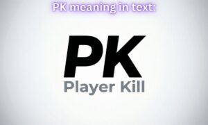 PK meaning in text: Player Kill