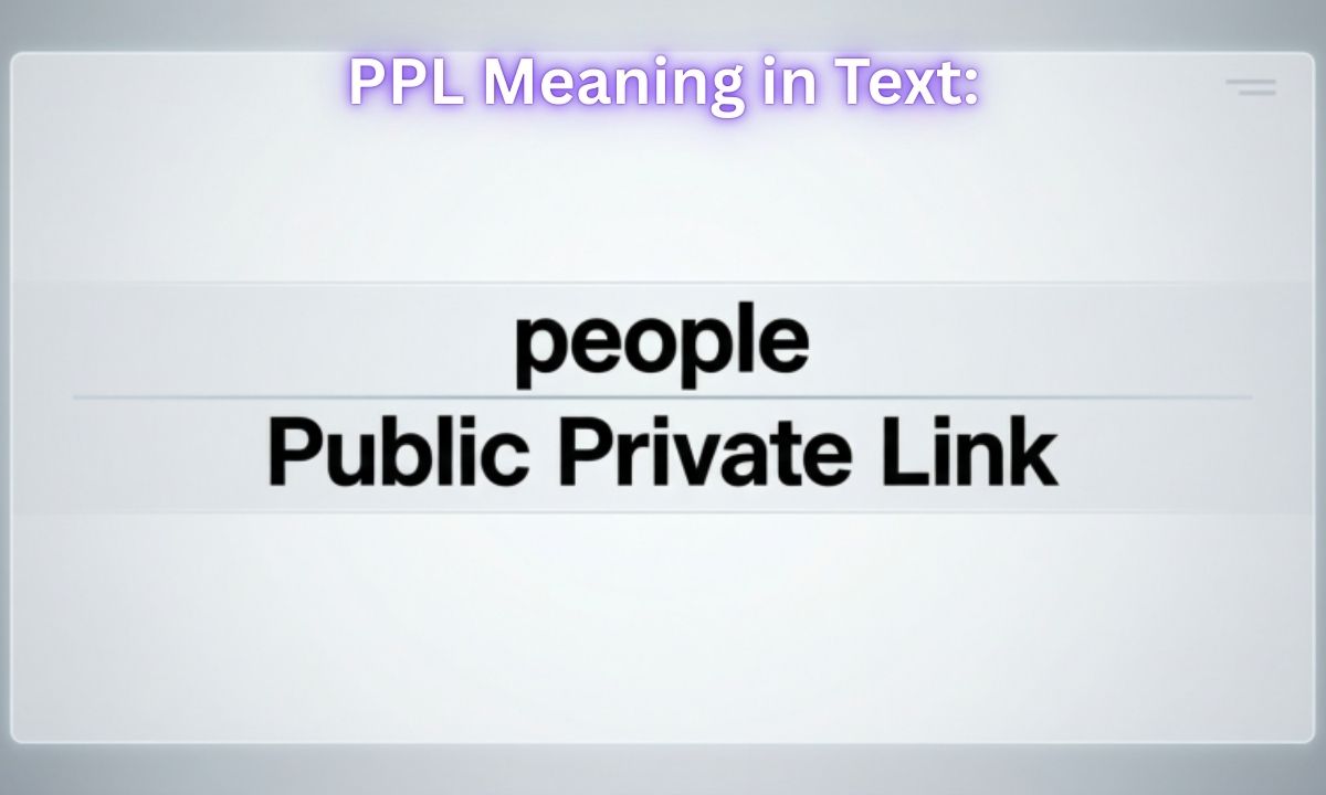 PPL Meaning in Text: "Public Private Link "