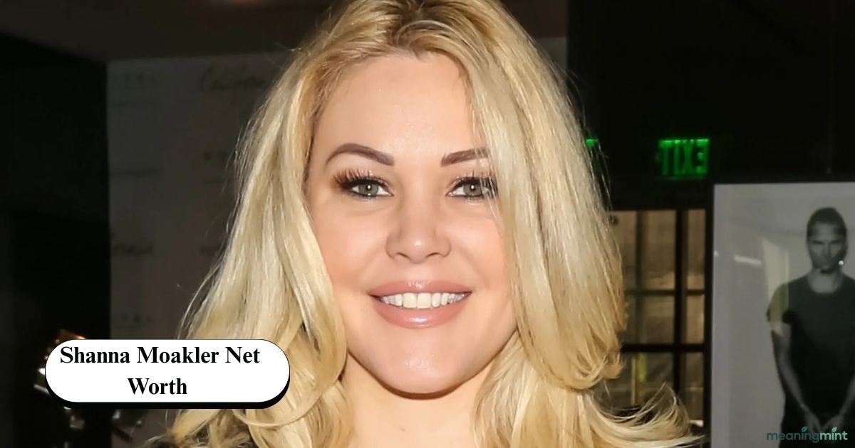 Shanna Moakler Net Worth