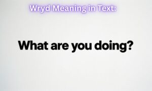 Wryd Meaning in Text: “What are you doing?”