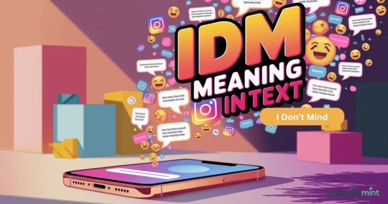 IDM-meaning-in-text