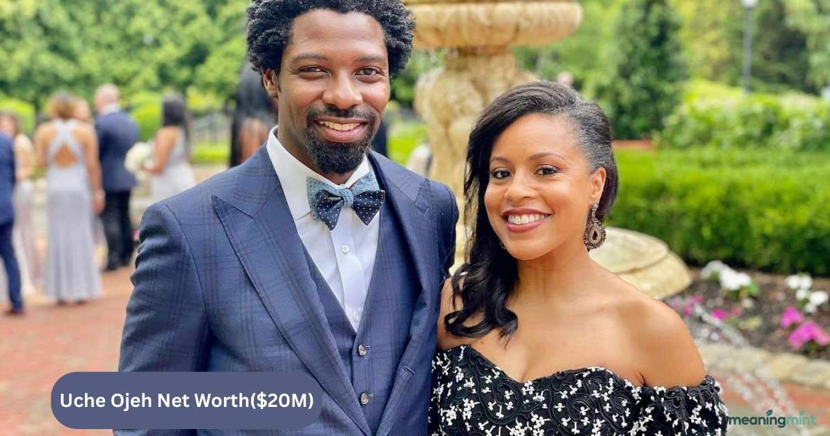 Uche Ojeh Net Worth overview showing his professional background Technology consultant and entrepreneur profile image Business strategist known for consulting and investments