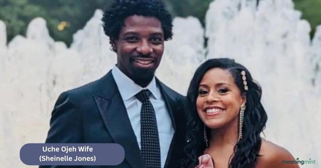 Uche Ojeh with his wife Sheinelle Jones at a public event
NBC News anchor Sheinelle Jones alongside her husband
Private family moment of the well-known media couple