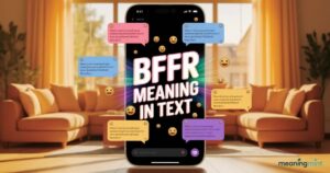 BFFR-MEANING-IN-TEXT