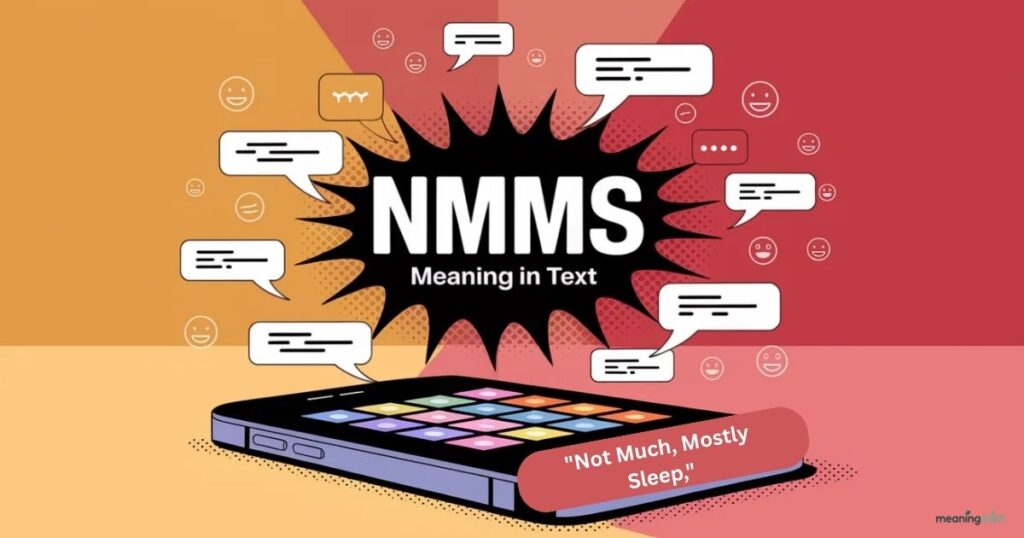 NMMS-meaning-in-text